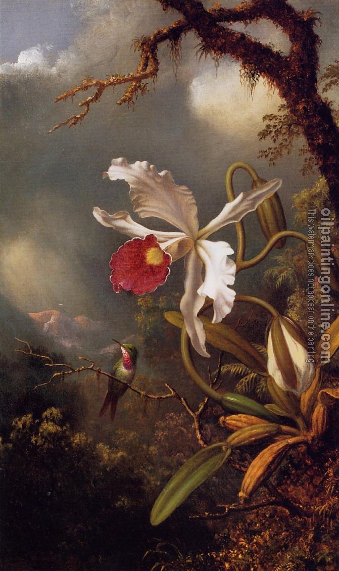 Heade, Martin Johnson - An Amethyst Hummingbird with a White Orchid
